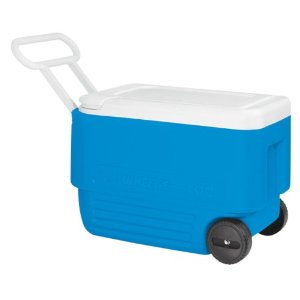 Beach Cooler