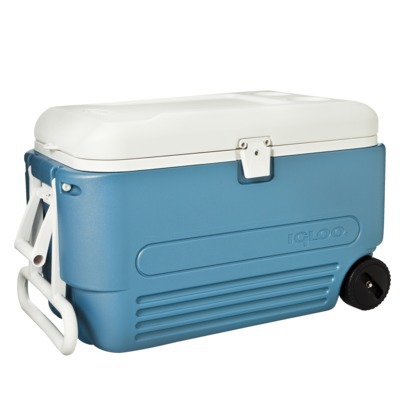 Beach Cooler | 75 QT |
