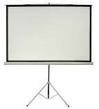 Projection Screen | Foldaway | 3.5' x 3.5'